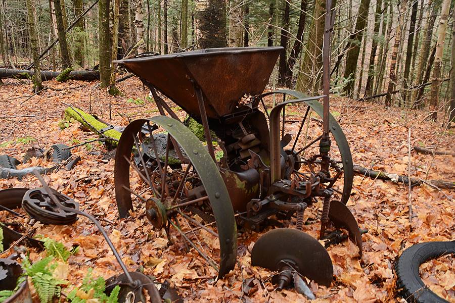 Rusty equipment in woods