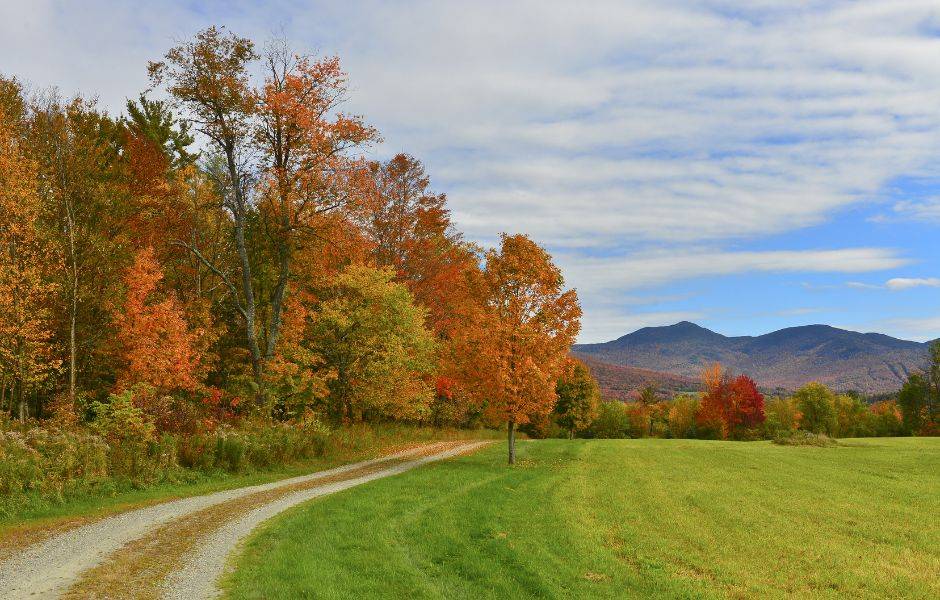 Stowe Vermont 11 Untitled design 65