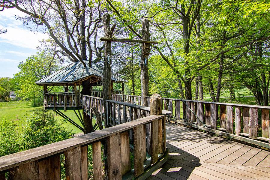 Oakledge Park Forever Young Treehouse