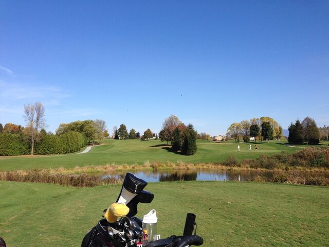 Essex exam results image