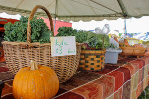 Vermont Local Farmer's Market