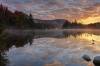 marsfield-mollys-pond