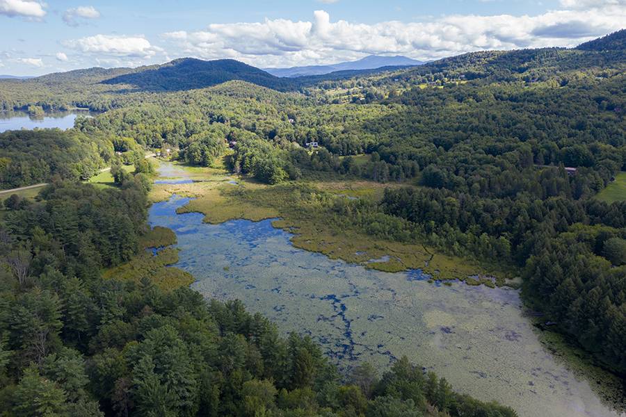 Hinesburg marsh