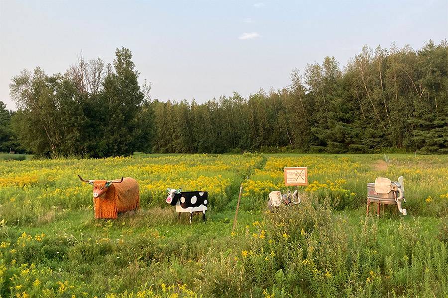 williston animal sculptures