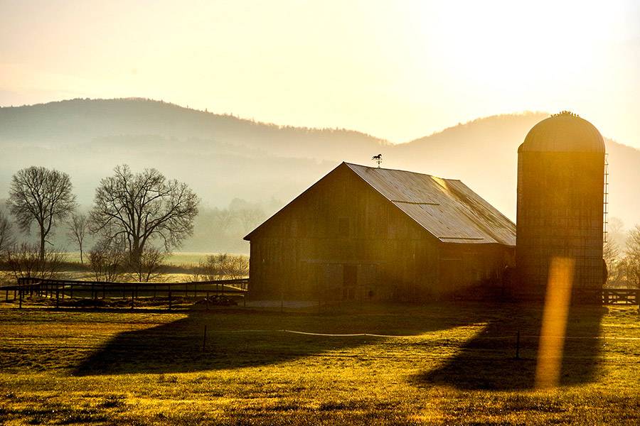 williston farm