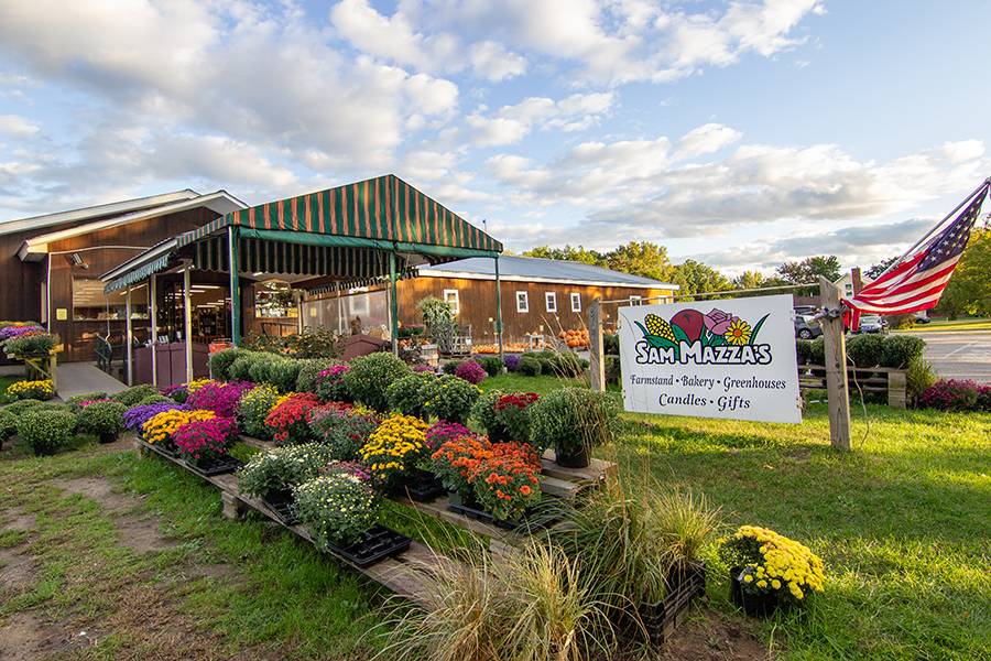 Sam Mazzas Farmstand