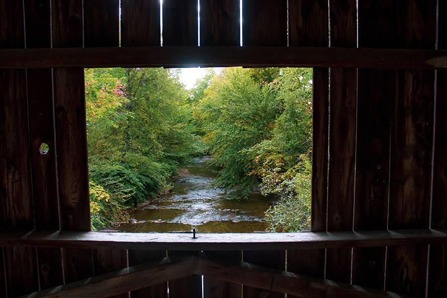 Mills River Bridge View