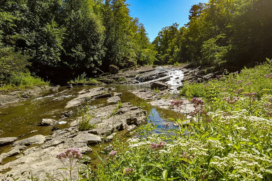 Laplatte River Shelburne