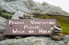 Fragile-Vegetation-Sign-Camels-Hump