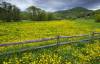 Middlebury Vermont 20 Untitled design (6)