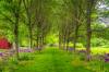 Intervale-Burlington