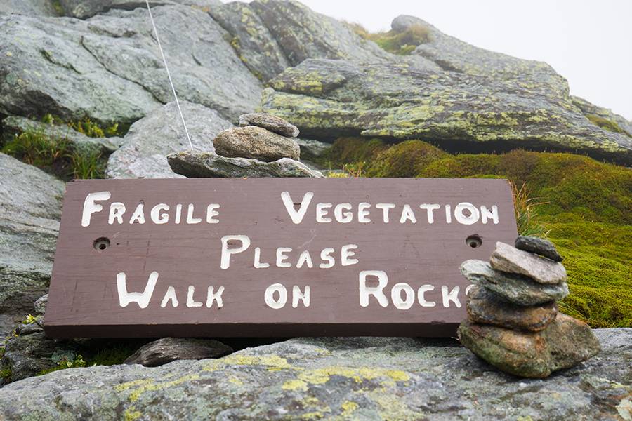 Fragile Vegetation Sign Camels Hump