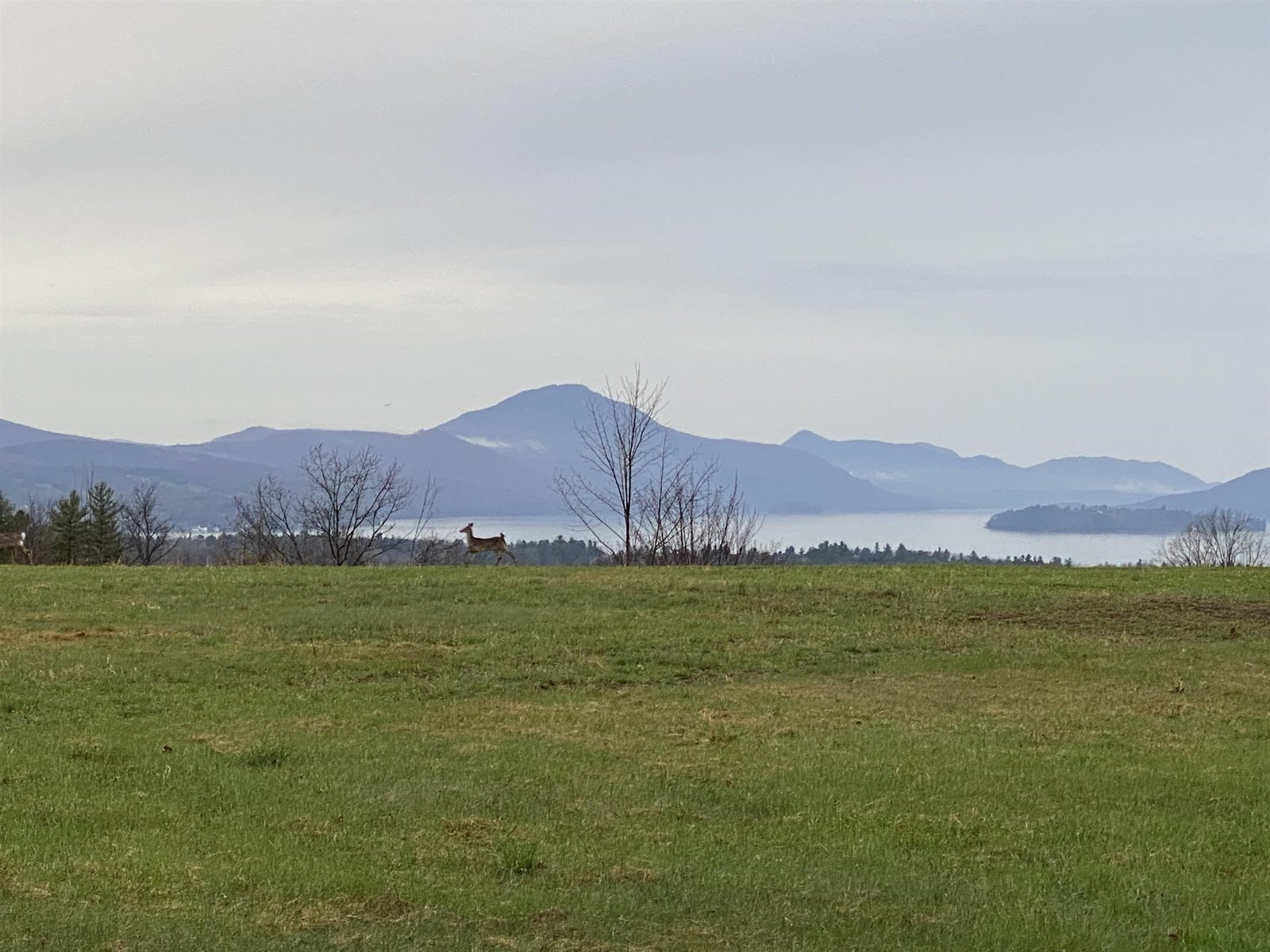 - Pine Hill Road