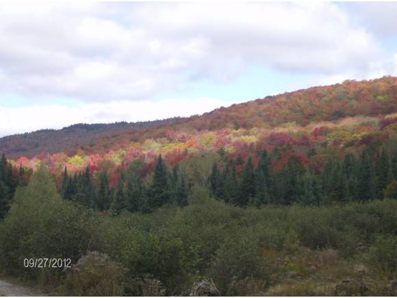  0 Hardwood Mountain Rd