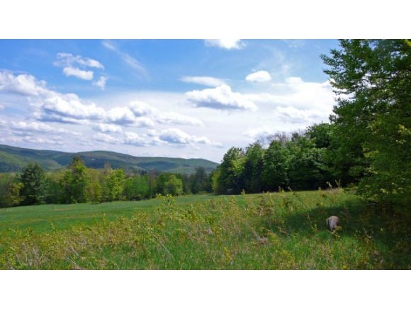  1393 Carrie Howe Road