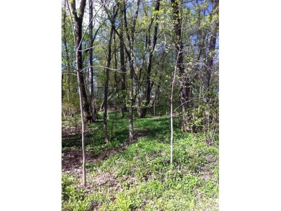  32 North Street-Lot#1