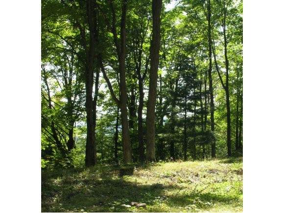  432 Autumn Hill Lane, Lot #9
