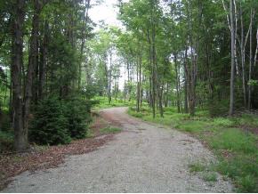  Alpine View Road