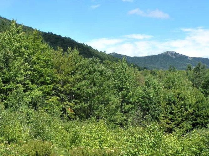  Bear Swamp Road