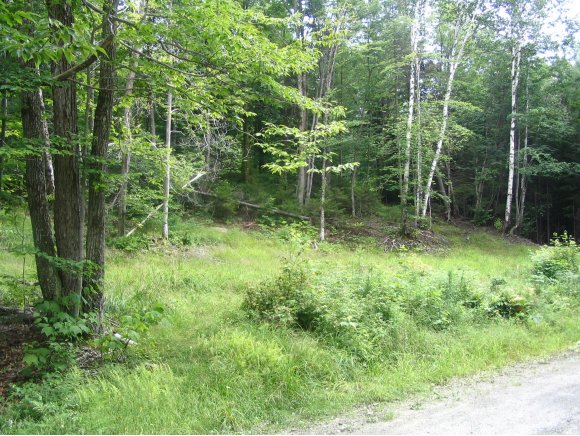  Beaver Meadow Road
