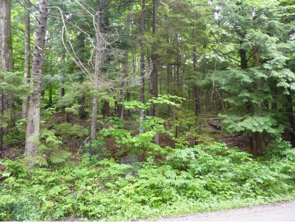 Beaver Meadow Road