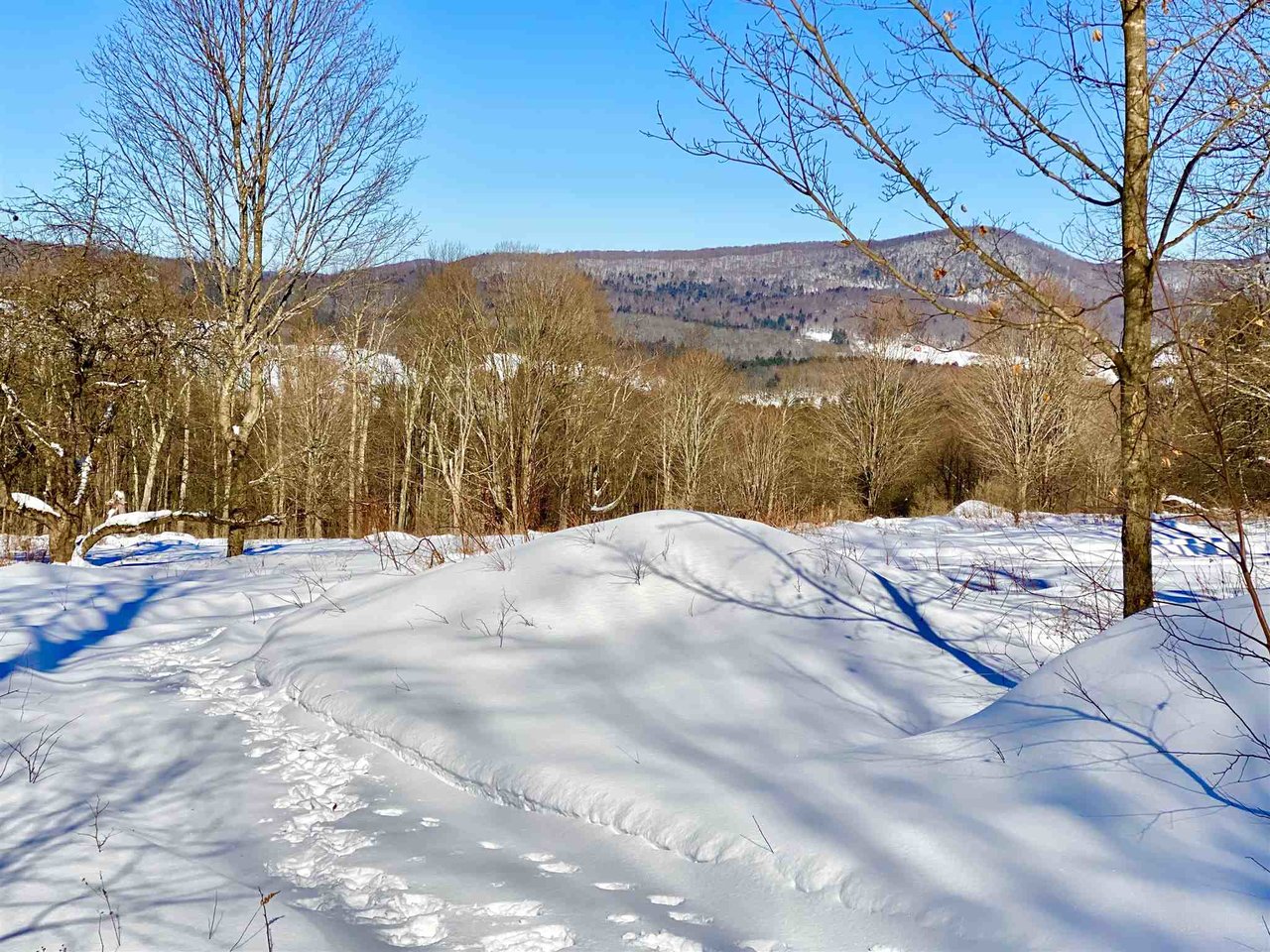  Black Mountain Road