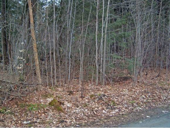  Black Woods Rd