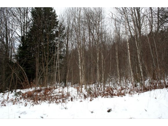  Blair Hill