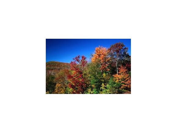  Bog Road /TH# 8