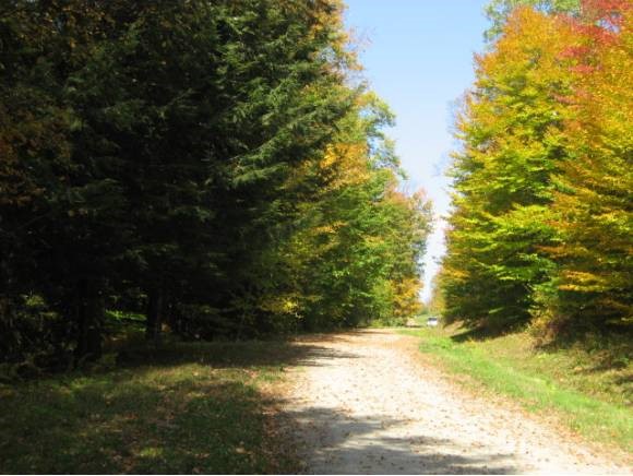  Boyce Road
