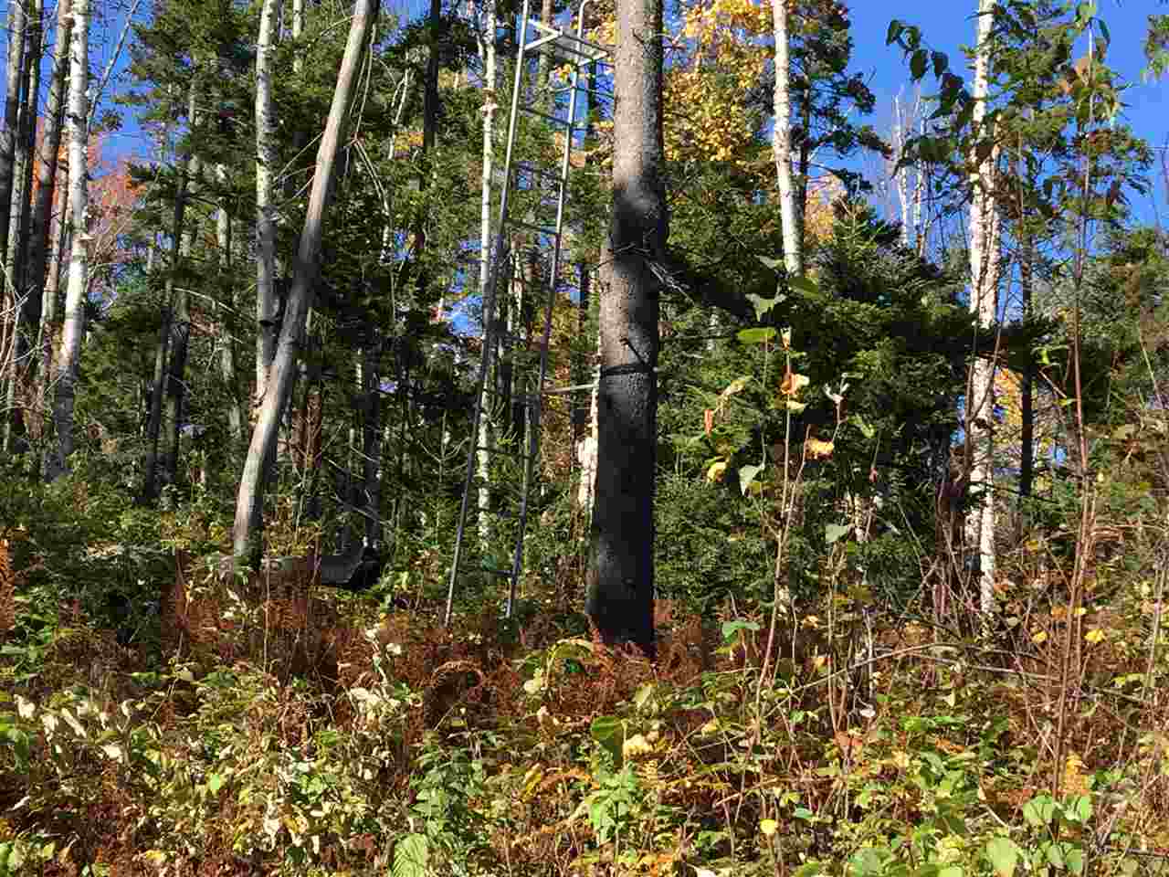  Brooks Road