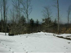 Brookview  Road