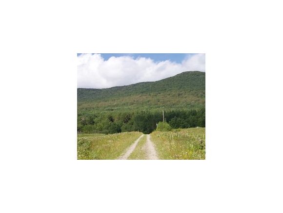  Cape Lookoff Road