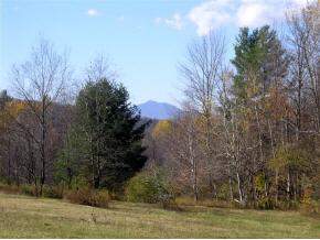  Covered Bridge Rd