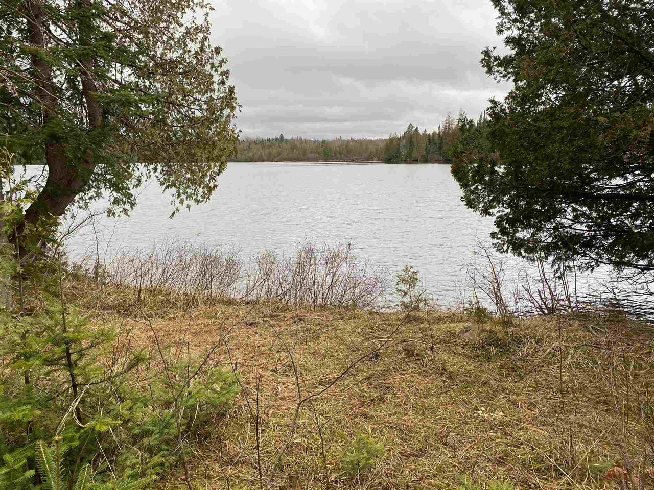 - Daniels Pond Road