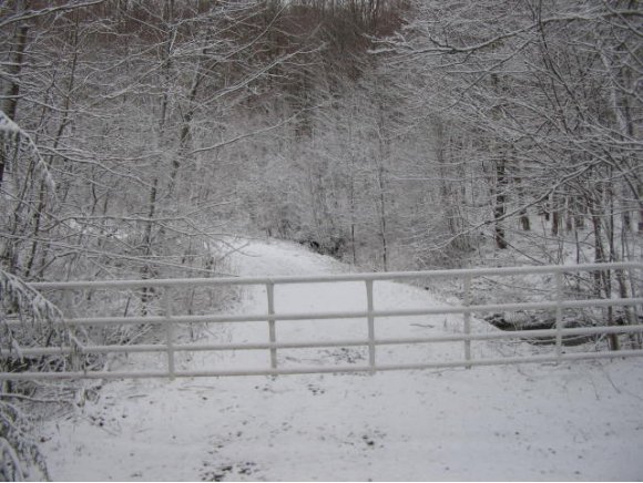  Daudelin Rd