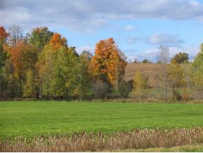  Delong Road Rd