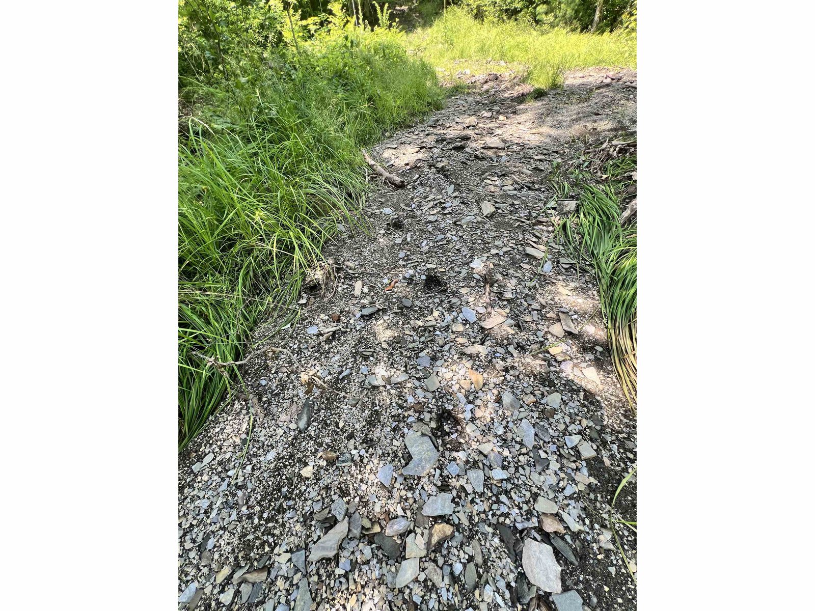 - Denio Road