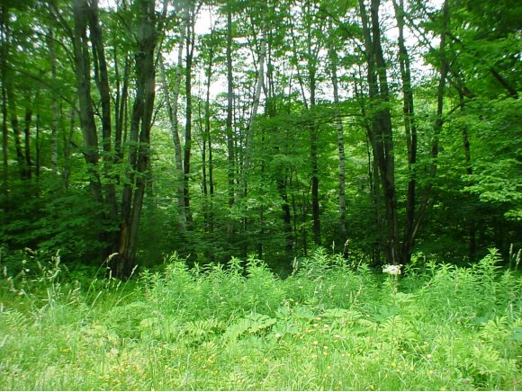  East Hill Road