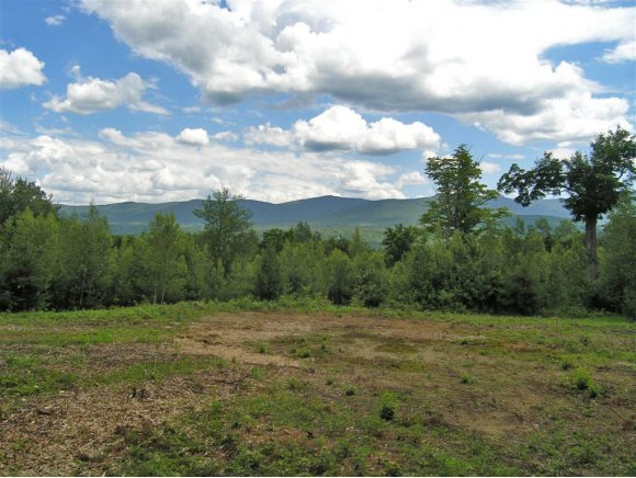  East Tamarack Road