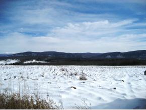  Ethan Allen Highway