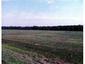 . Ethan Allen Hwy
