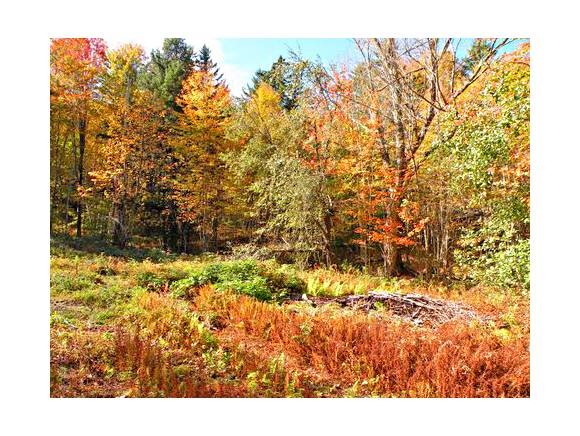  Falls Brook Ln