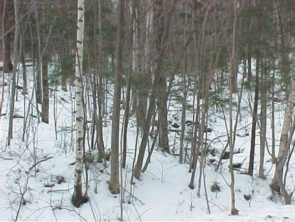 Fayston Hollow Road