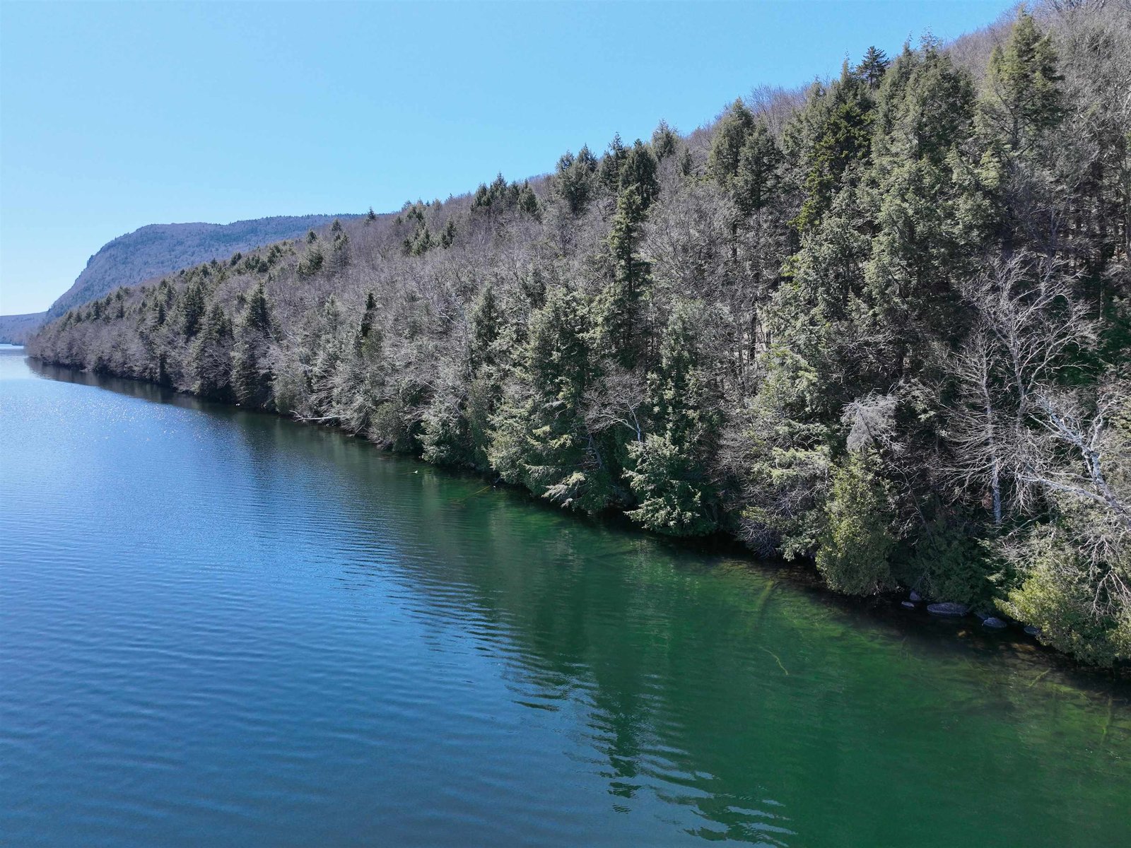 State Forest Shoreline