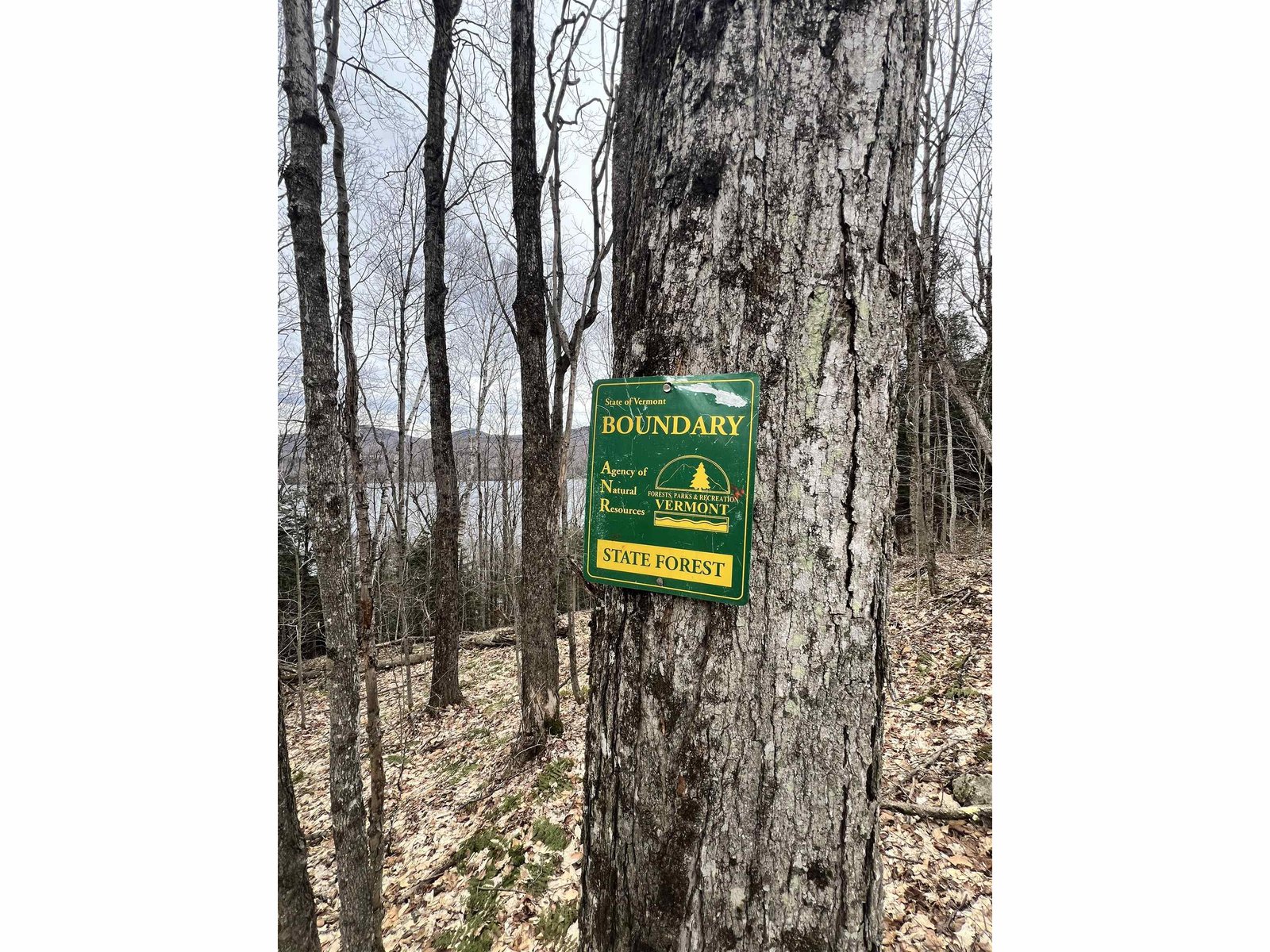 Very close to State Forest