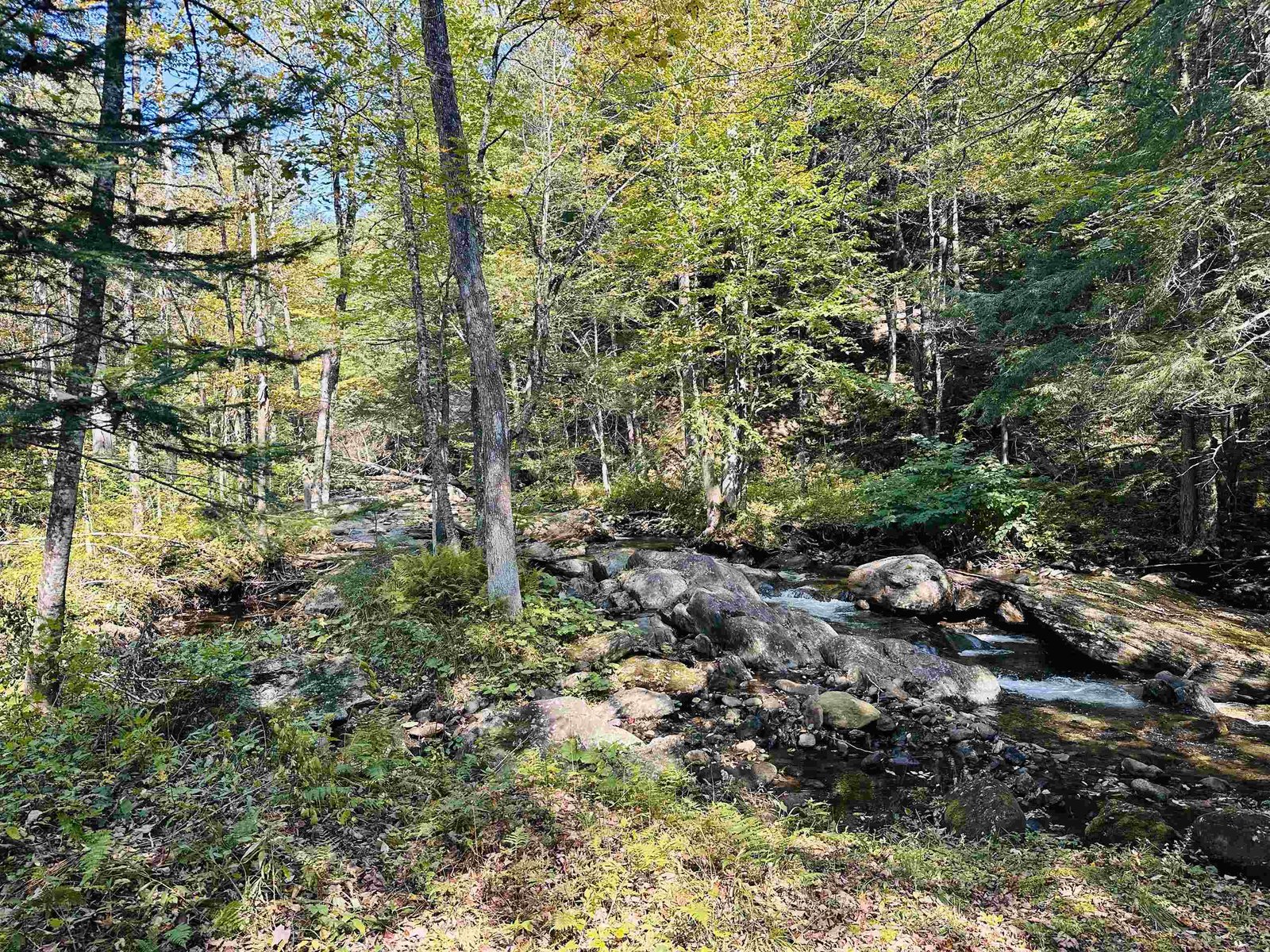 Serene land parcel on Foote Brook