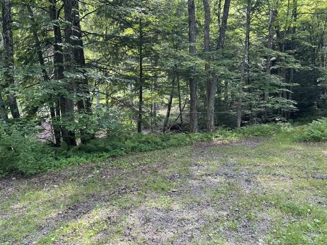  Gird Lot Road, Weathersfield