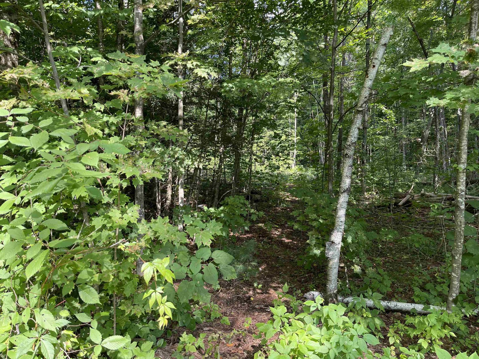  Grand Hollow Road
