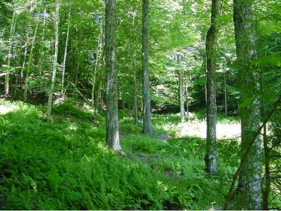  High Ridge Rd, Lot #4